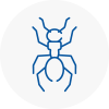 Ant Removals In Holbeach