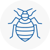 Bed Bug Extermination In Holbeach