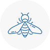 Bee Nest Removal Holbeach