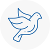 Bird Prevention Holbeach