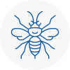 Holbeach Hornet Nest Removals
