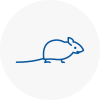 Mice Exterminators In Holbeach