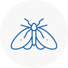 Moth Control Specialists In Holbeach