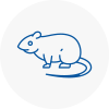 Rat Control Holbeach