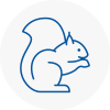 Holbeach Rodent Removals